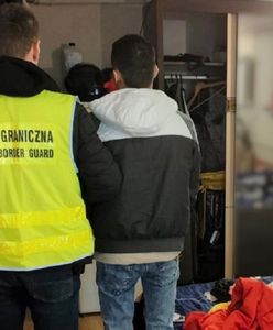 Akcja Straży Granicznej. Rozbito gang przemytników ludzi