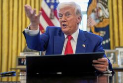 Trump chce przejąć Grenlandię. Opracował plan