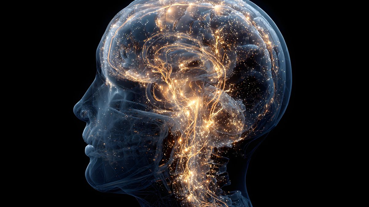Świecąca sieć neuronowa symbolizuje aktywność ludzkiego mózgu