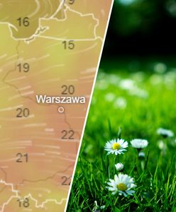 Wiadomo, kiedy ochłodzenie. Znamy najnowszą prognozę