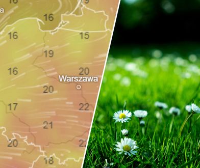 Wiadomo, kiedy ochłodzenie. Znamy najnowszą prognozę