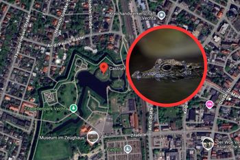 Widziano go w Niemczech. Miasto w gotowości. Pułapka, drony i martwy szczur