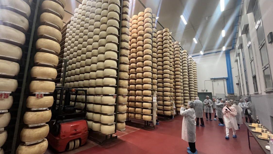 Wizyta w zakładzie produkującym parmezan to świetna atrakcja
