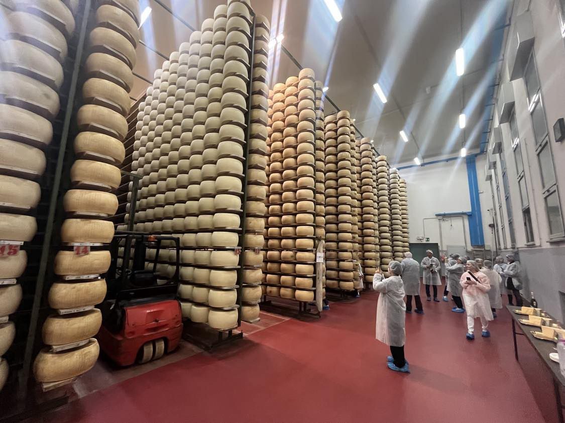 Wizyta w zakładzie produkującym parmezan to świetna atrakcja