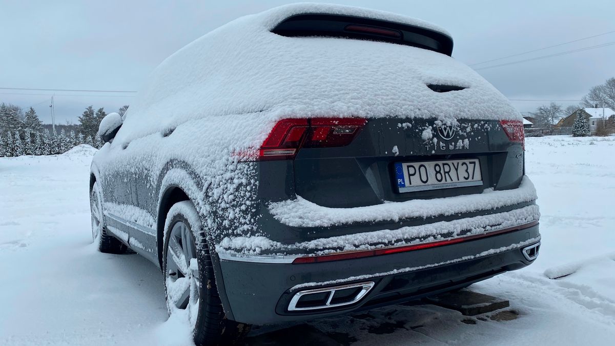 Takich widoków niebawem już nie uświadczymy. Prawdopodobnie do następnej zimy.