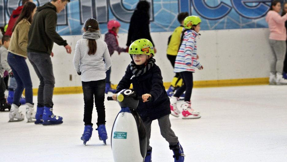 18.02.2019 LUBLIN ICEMANIA DRUGI TYDZIEN FERII LYZWY FERIE


FOT. MALGORZATA GENCA / POLSKA PRESS
