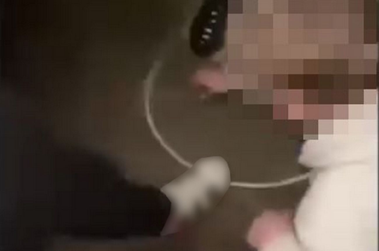 .
