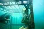 Sara Paxton lub Ashley Hinshaw bardziej super
