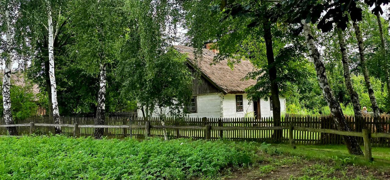 Żniwa