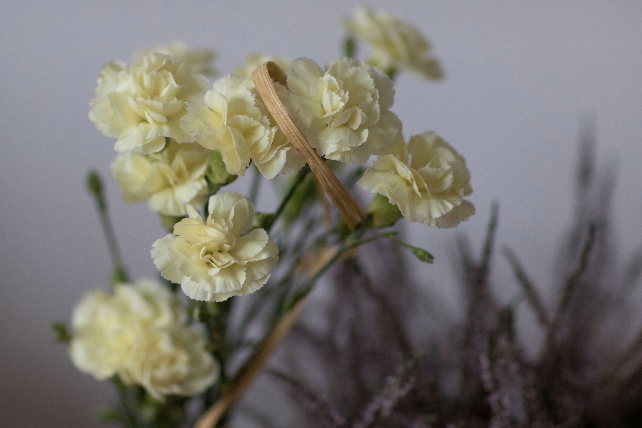 Canon EOS 7D Mark II - szybki, wytrzymały i bez konkurencji [test] 167