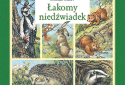 W perspektywie czasu