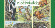 W perspektywie czasu