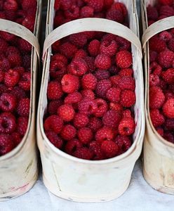 Chciała kupić 100 kg malin. Skończyła jako ofiara oszustwa