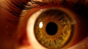 Komputer demaskuje brak uwagi wzrokowej 1