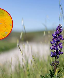 Pogoda na sobotę. Takich wartości dawno nie widzieliśmy