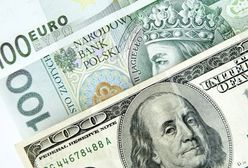 Analitycy: w piątek złoty zyskał do dolara i euro