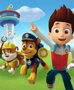 "Psi Patrol" i "Spongebob Kanciastoporty": gdzie obejrzeć popularne bajki dla dzieci?