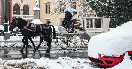 Białe święta? Zwrot w prognozie. Niemcy ogłaszają