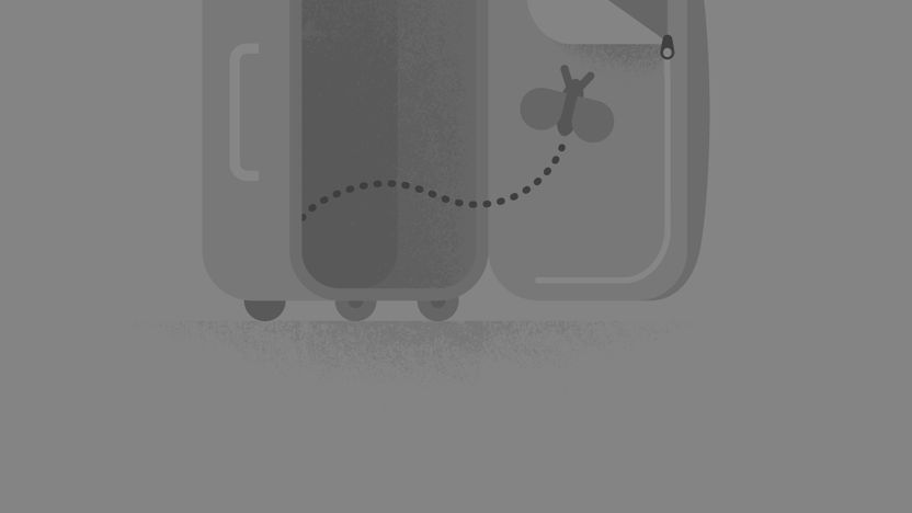 Google Trips 8