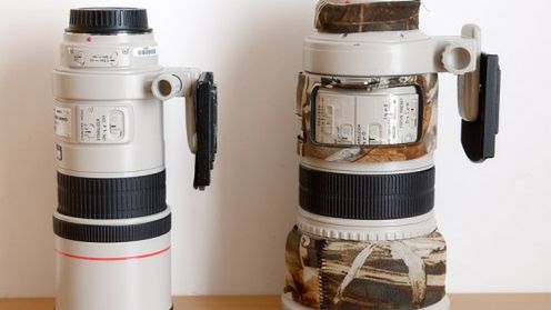 Megatest: Canon 300mm f/4 IS vs Canon 300mm f/2.8 IS 1