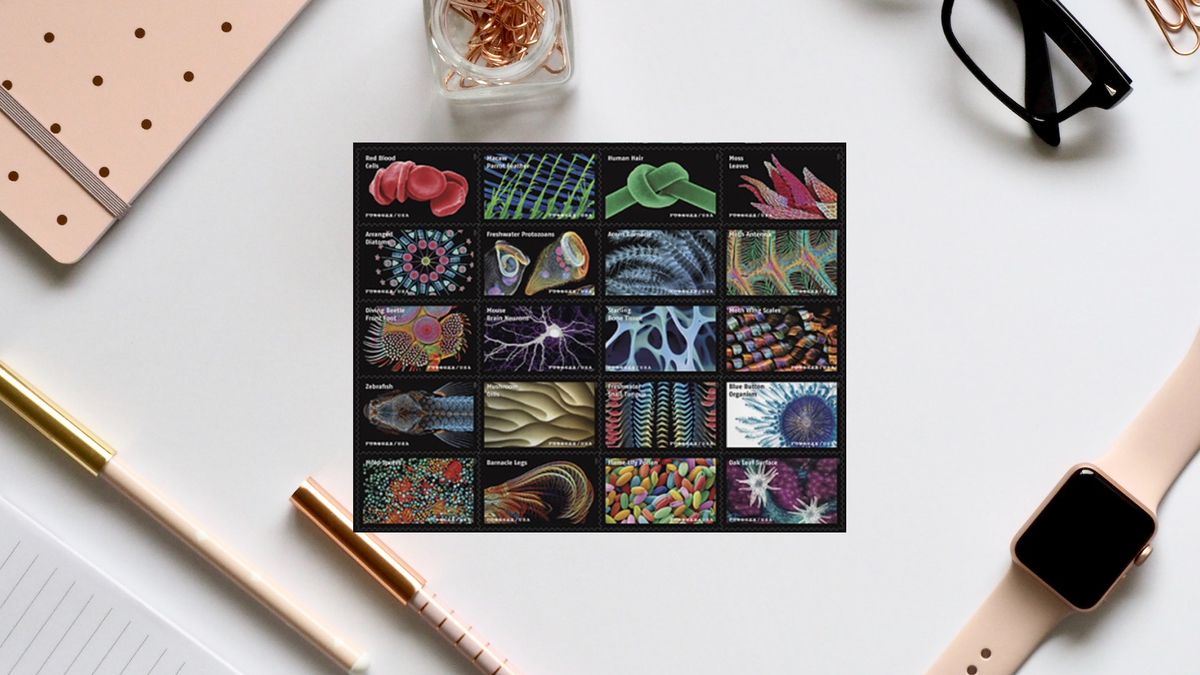 Nowa kolekcja znaczków pokazuje różne obiekty w powiększeniu mikroskopwym.