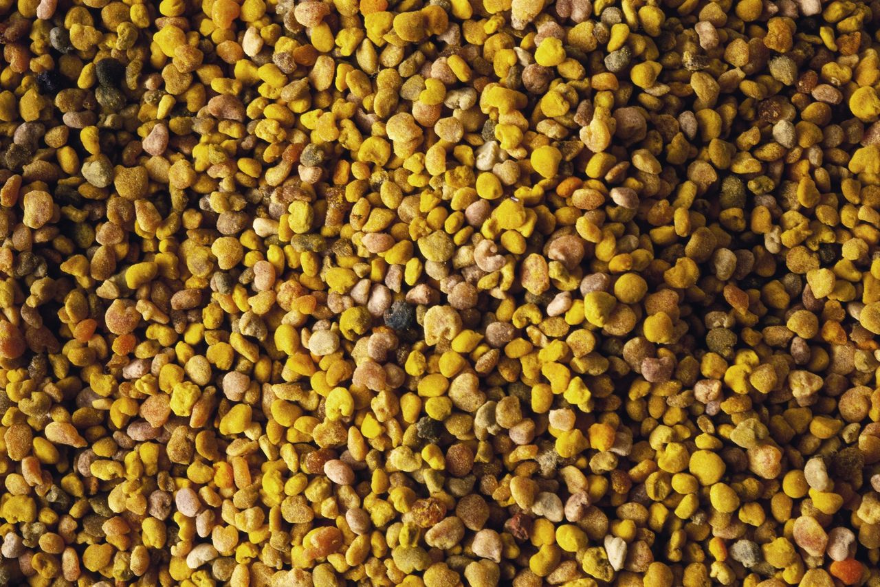 Fenugreek is one of the ingredients of curry.