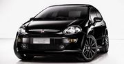 Fiat Punto "Evo" przed Frankfurtem