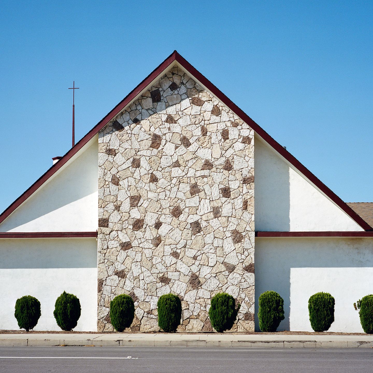 “A Tree Grows In…” to projekt kalifornijskiej fotografki. który przedstawia rośliny w nietypowych miejscach 3