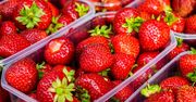 Wiosenne truskawki to "chemiczna bomba"? Ekspertka alarmuje