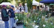 Kalisz: Targ na plantach. Miasto zaprasza wystawców