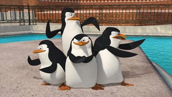 Zobacz cztery minuty "Pingwinów z Madagaskaru"