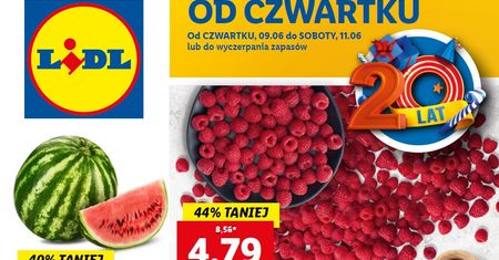 Lidl nowa gazetka 9.06-11.06. Promocje w Lidlu od czwartku 9 czerwca