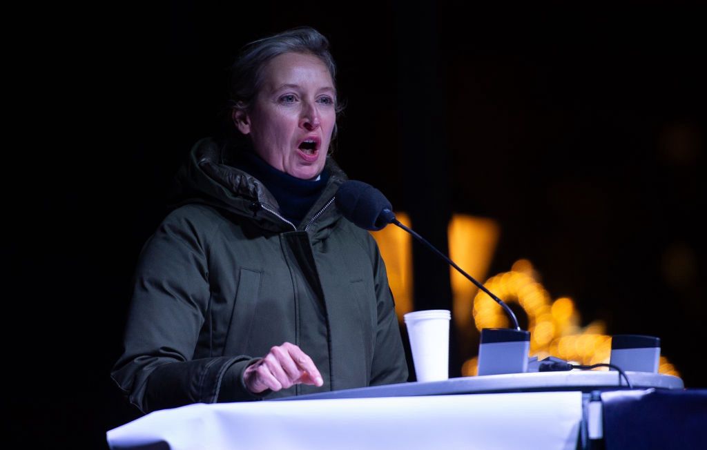 Hamburg protests erupt against AfD as election nears