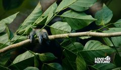 Nowa szefowa ma poszerzyć zasięg kanału 4K w Europie Środkowej