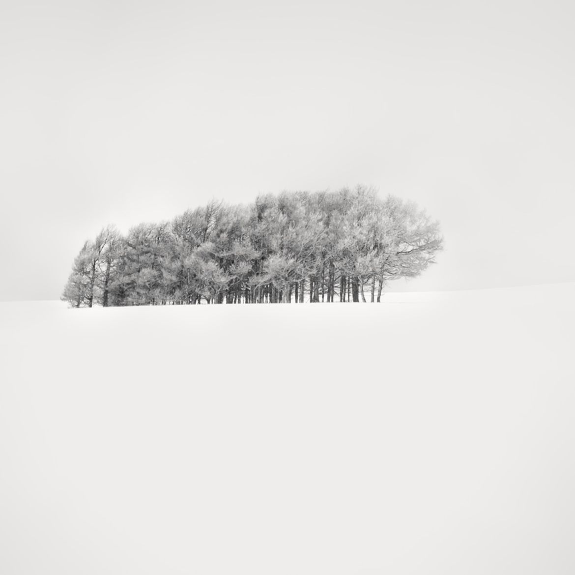 Wielu Polaków na podium w konkursie Monochrome Photography Awards 2017 41