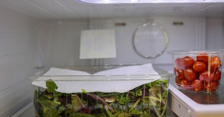 Włóż do pojemnika z sałatą. Dłużej zachowa świeżość