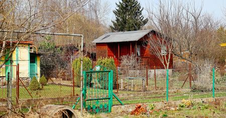Popularna praktyka działkowców nielegalna. Urzędnicy kontrolują ROD