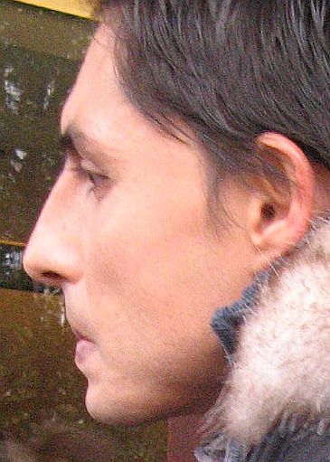 Obraz