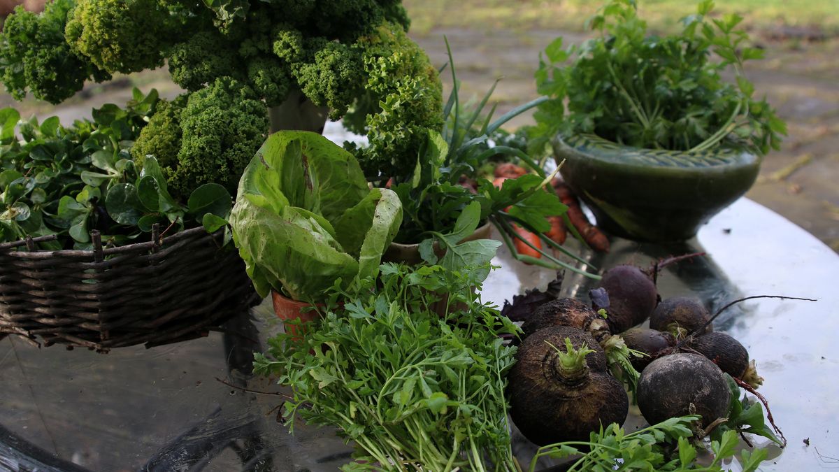 To jedno z warzyw, o którym często zapominamy. 