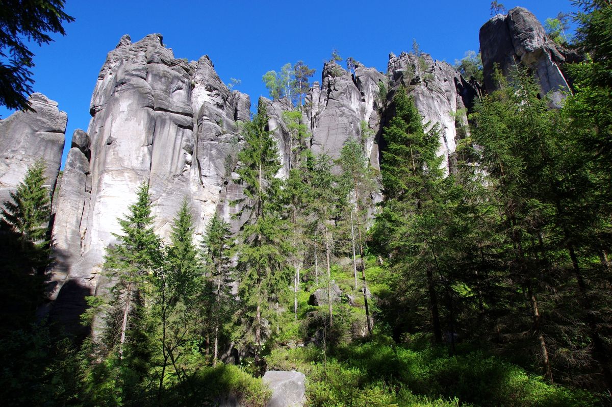 W Parku Narodowym Gór Stołowych znaleziono porzucone sedesy 