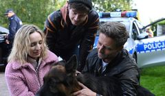 TVP chce walczyć z piratami internetowymi. Ma jednego chętnego