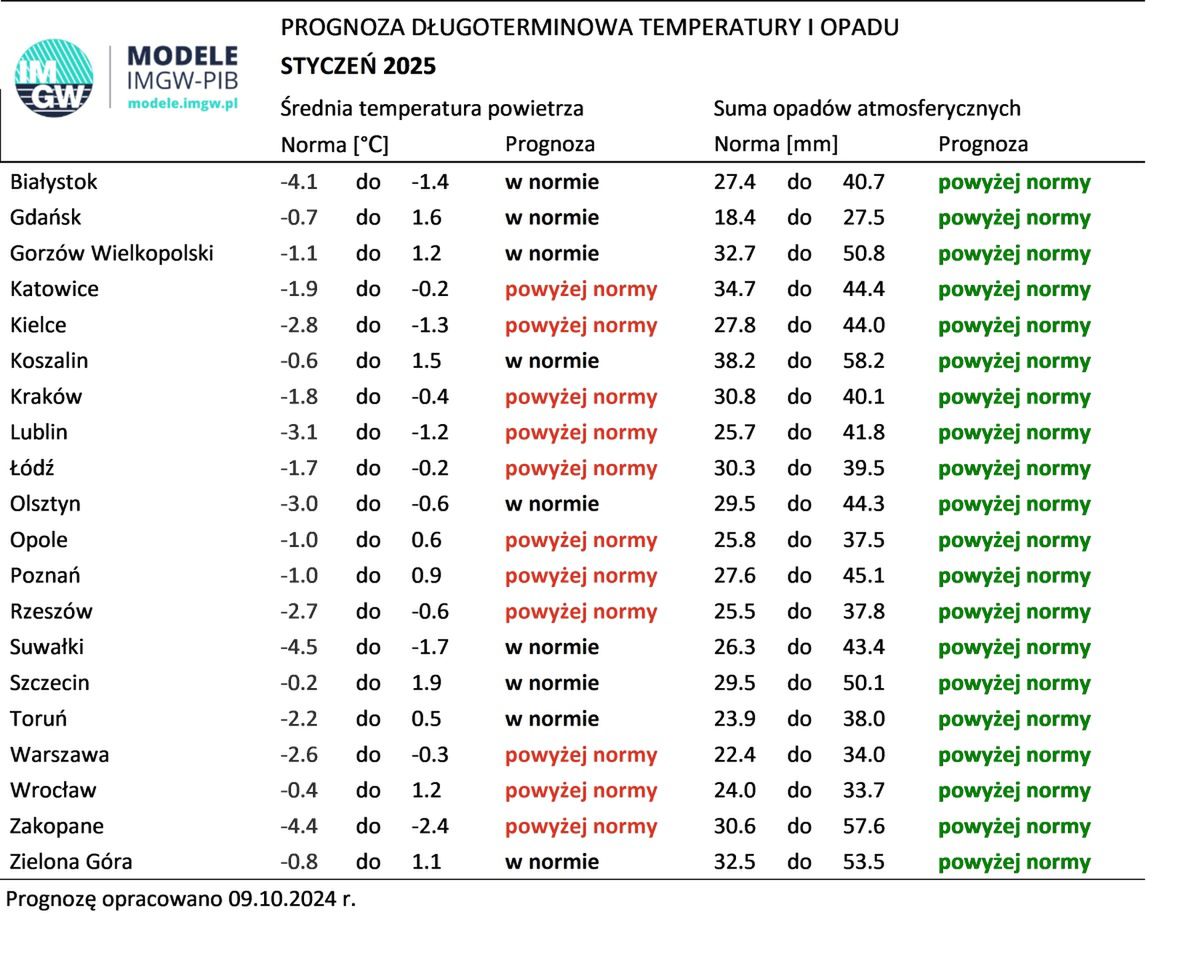 Prognoza długoterminowa - styczeń 2025