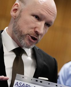 Breivik wyjdzie na wolność? Eksperci wydali opinię