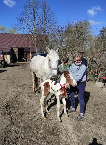 Tak mieszka Emilia z "Rolnicy. Podlasie" (Facebook)