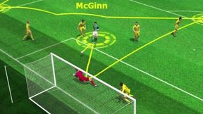 Ukraina - Irlandia Północna. Zobacz animacje bramek