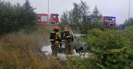 Tragedia na DK81. Zakleszczony kierowca spłonął w pojeździe