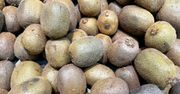 Nie jedz kiwi na pusty żołądek. Zaskakujące działanie, o którym mało kto mówi