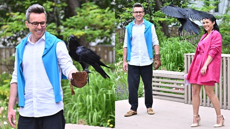 Katarzyna Cichopek i Maciej Kurzajewski