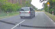 Metry od tragedii pod Zieloną Górą. Policja dotrze do kierowcy
