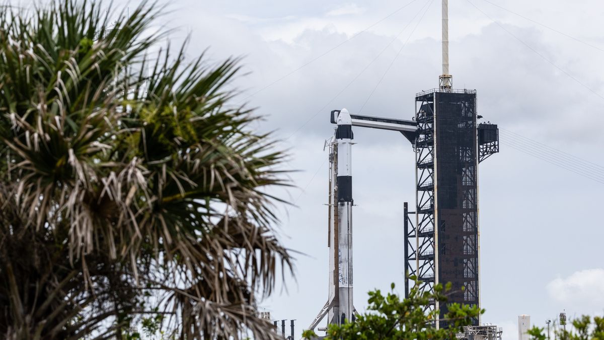Floryda, 11.06.2025. Na zdjęciu z 11 bm. Rakieta Falcon 9 na stanowisku SLC 39A w Centrum Kosmicznym Johna F. Kennedy?ego na przylądku Canaveral w amerykańskim stanie Floryda. Trwają przygotowania do wystrzelenia rakiety Falcon 9 z kapsułą Crew Dragon, która w ramach misji Axiom-4 ma zabrać czwórkę astronautów, w tym Sławosza Uznańskiego-Wiśniewskiego na Międzynarodową Stację Kosmiczną (ISS). Na stronie internetowej ośrodka NASA Kennedy Space Center pojawił się nowy termin startu misji Ax-4 z polskim astronautą Sławoszem Uznańskim-Wiśniewskim - piątek godz. 13.12 czasu polskiego. Nie potwierdziły tego jeszcze oficjalnie podmioty zaangażowane w misję. (jm) PAP/Leszek Szymański